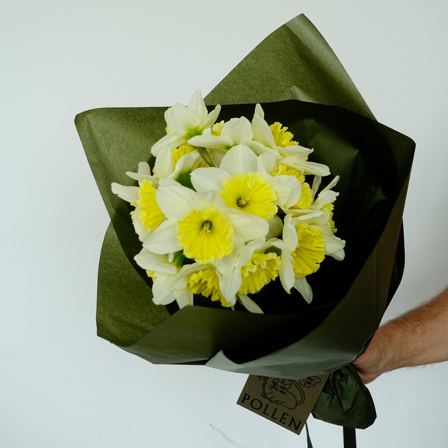 SEASONAL MERAVIGLIA - SPRING