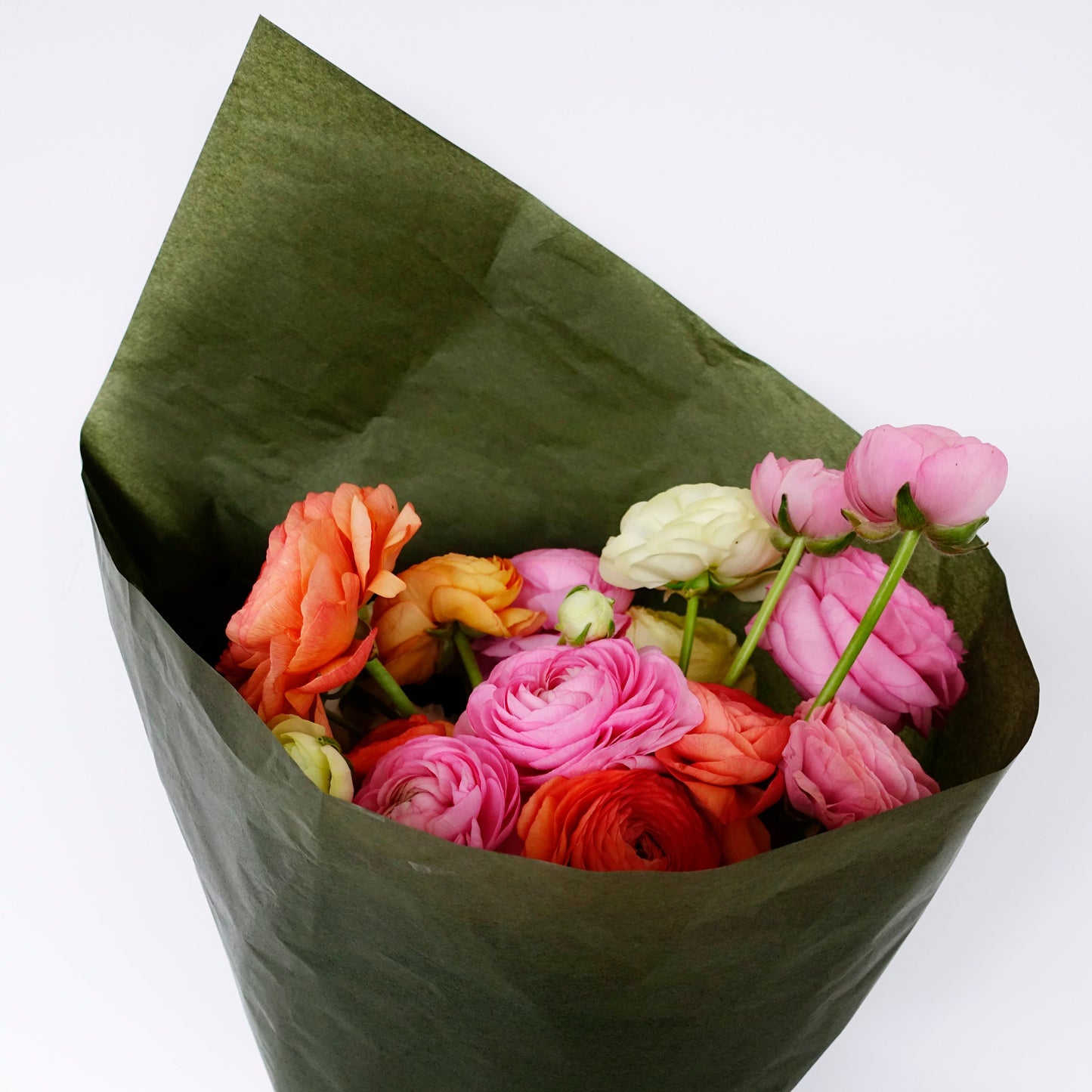 SEASONAL MERAVIGLIA - SPRING