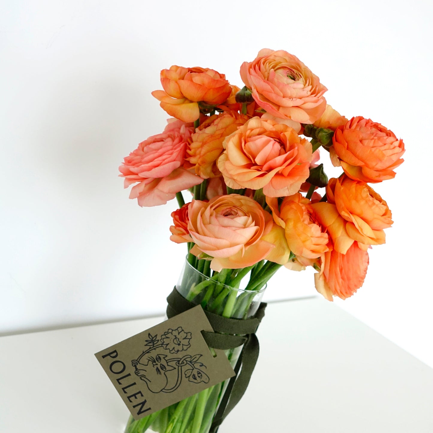 SEASONAL MERAVIGLIA - SPRING