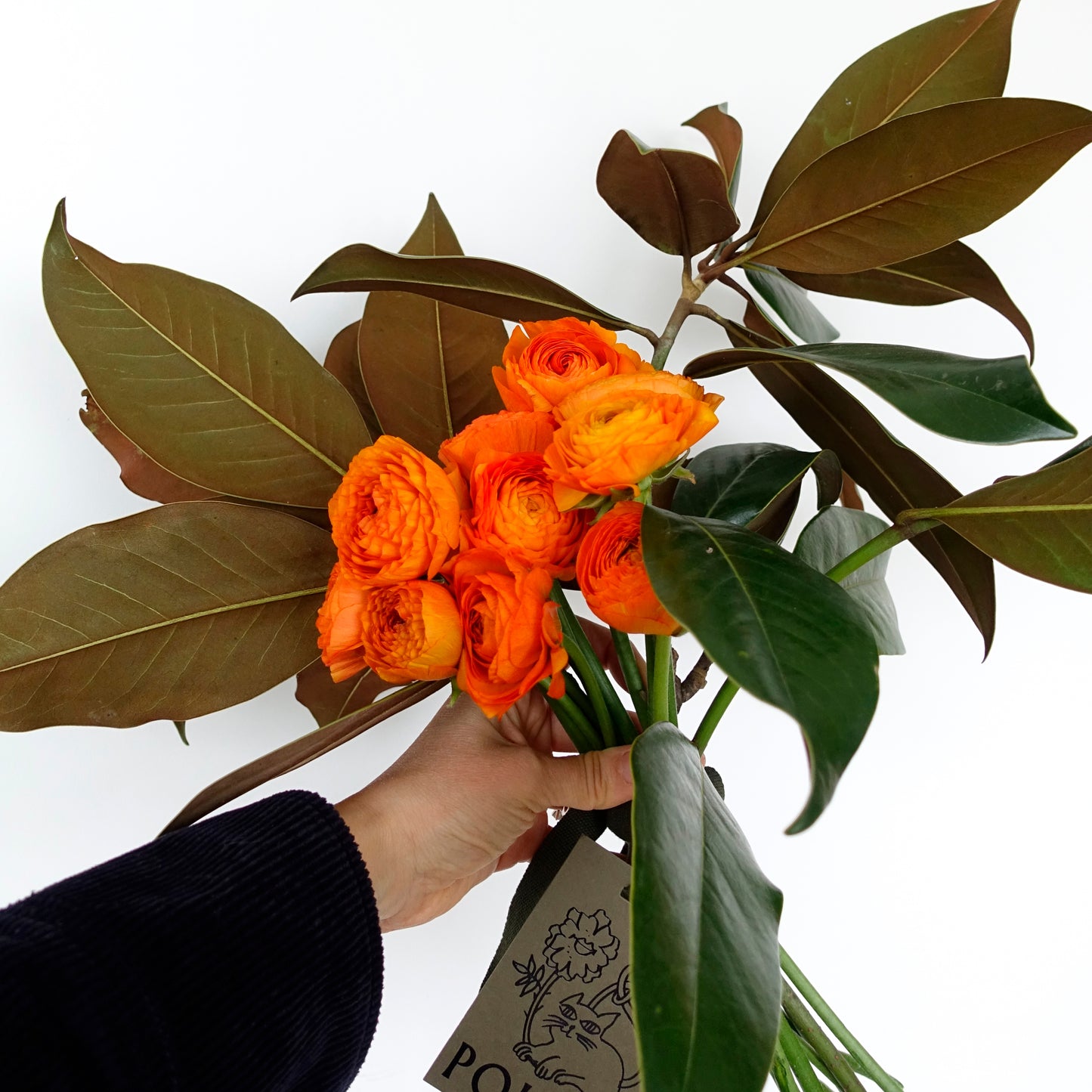 SEASONAL MERAVIGLIA - SPRING