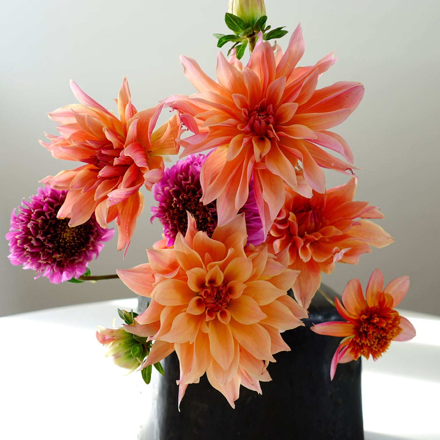 "SEASON'S FINEST" / GIFT CARD