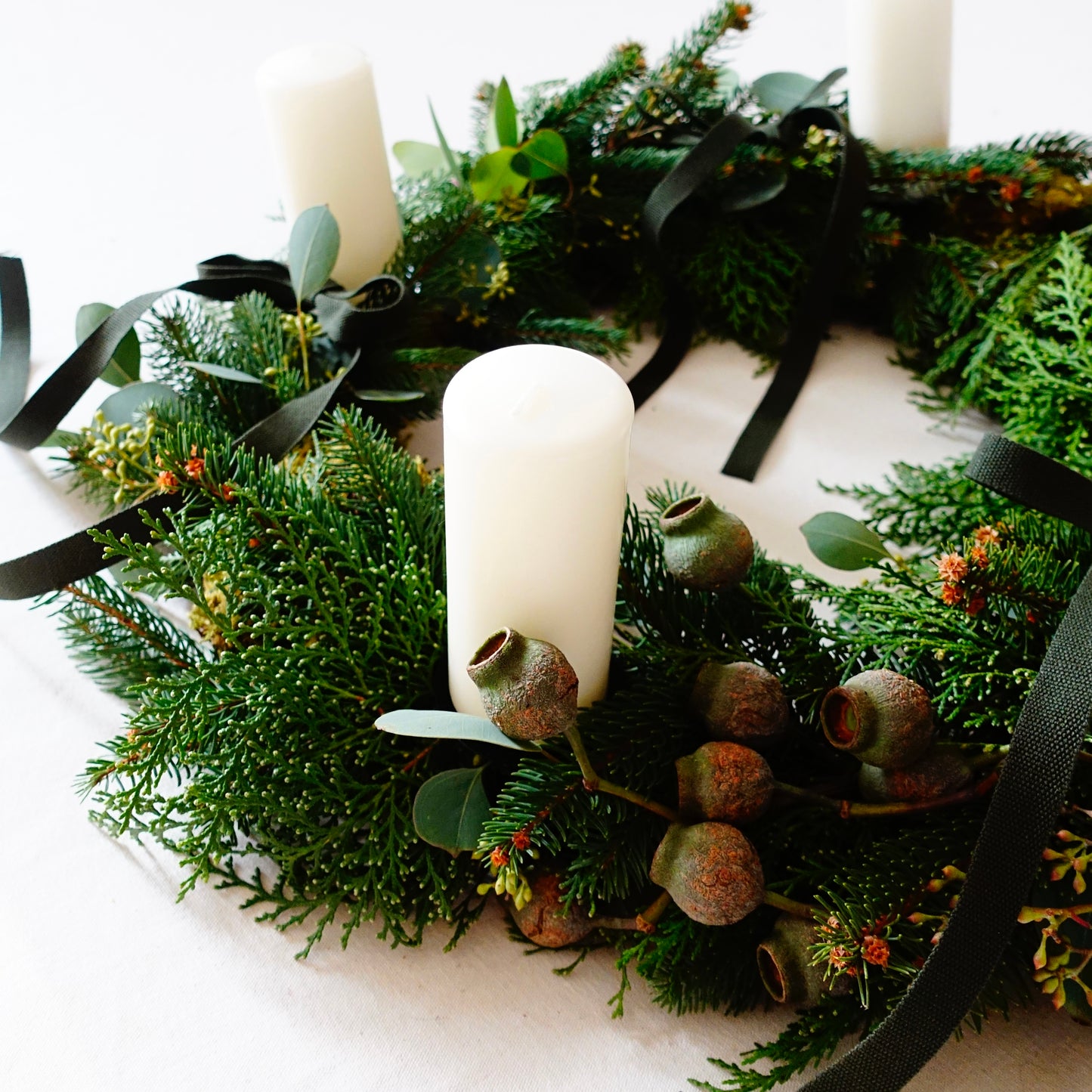 CENTROTAVOLA POLLEN EVERGREEN