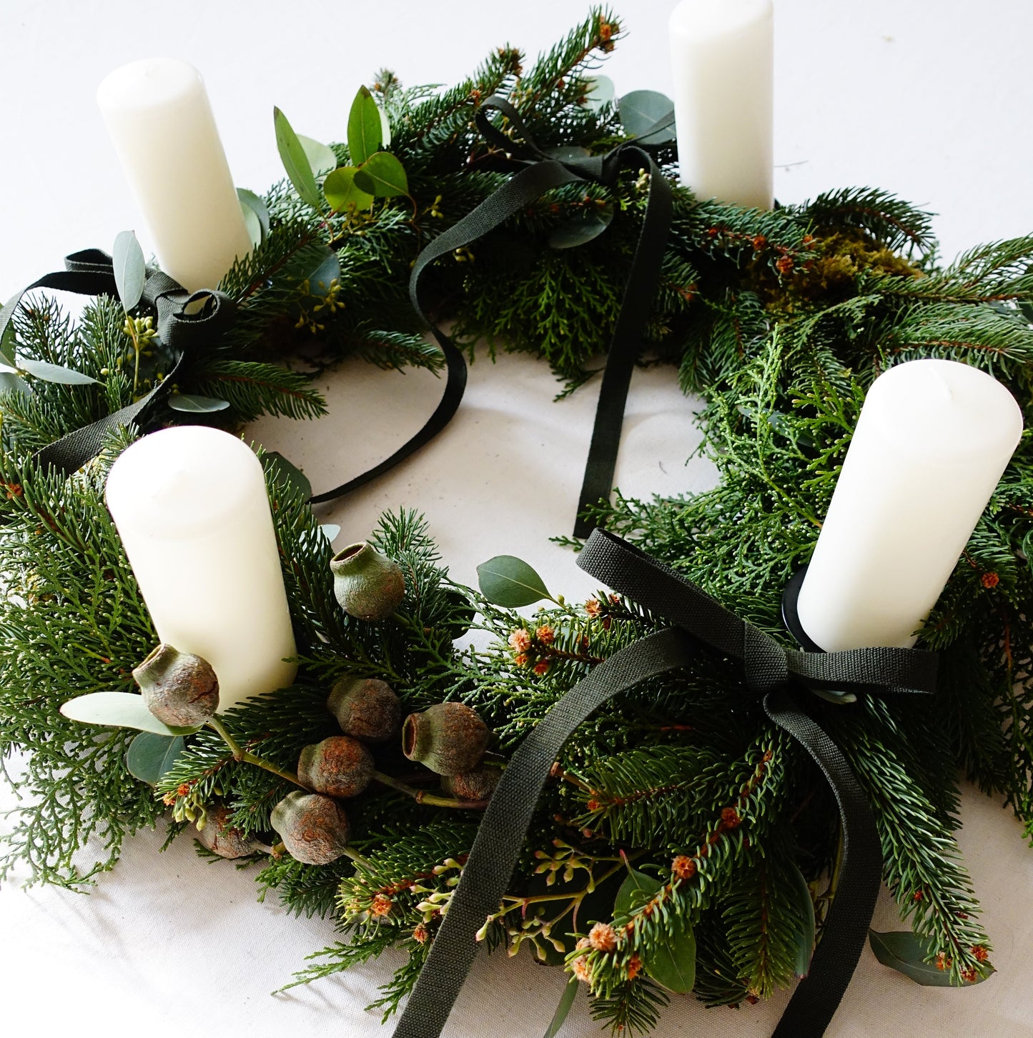 CENTROTAVOLA POLLEN EVERGREEN