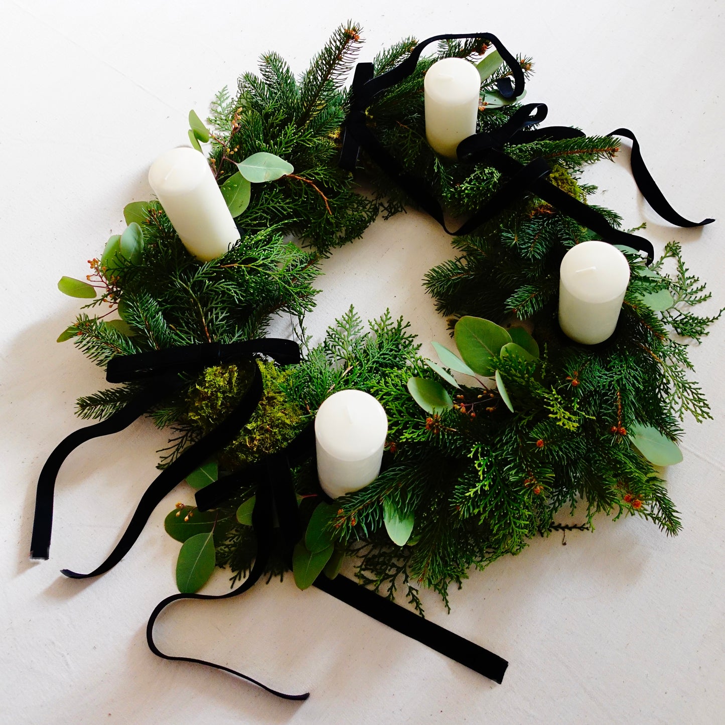 CENTROTAVOLA POLLEN EVERGREEN