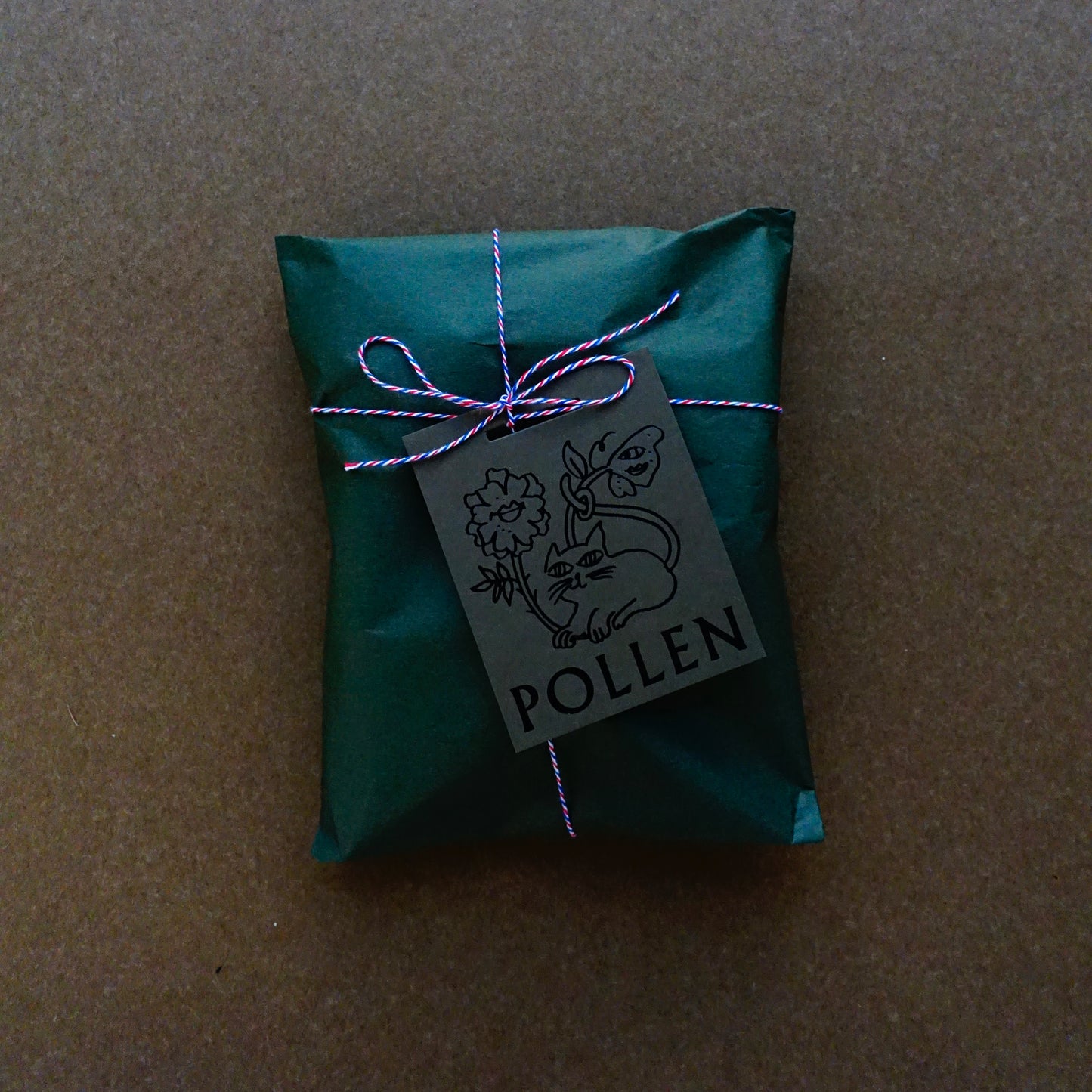 POLLEN TULIP BULBS / SECRET PRINCESS