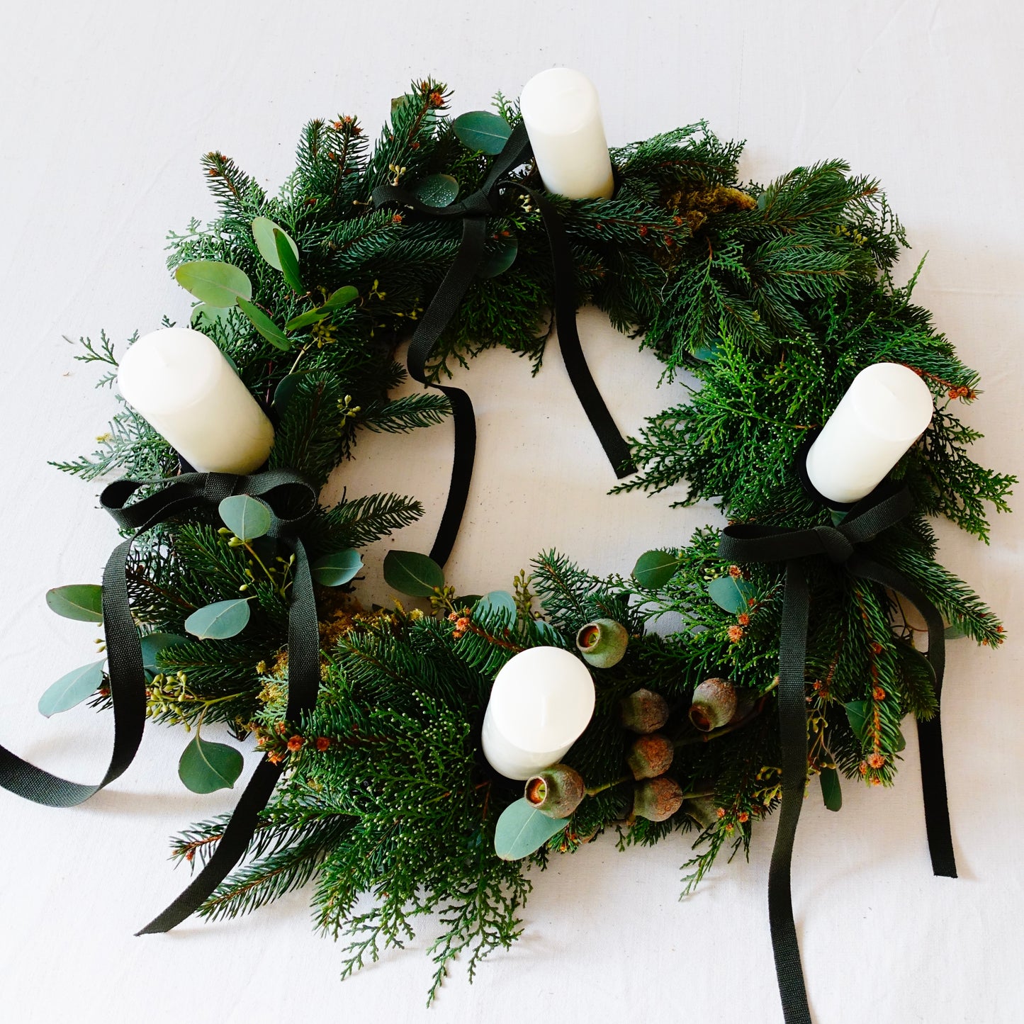 CENTROTAVOLA POLLEN EVERGREEN