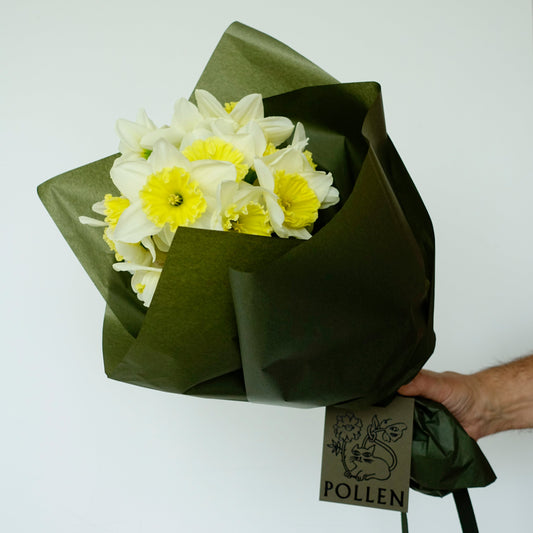 SEASONAL MERAVIGLIA -  SPRING